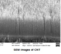 Thermal CVD